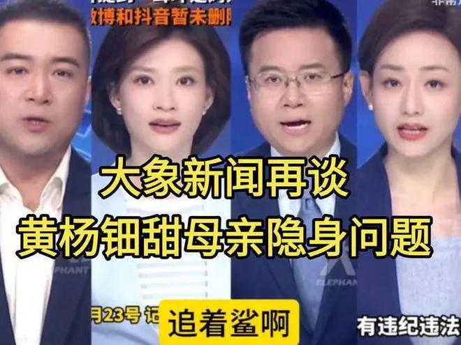 书被扒舅舅坐牢奶奶才是最大BOSS开元棋牌黄杨钿甜妈妈非法移民、判决(图10)